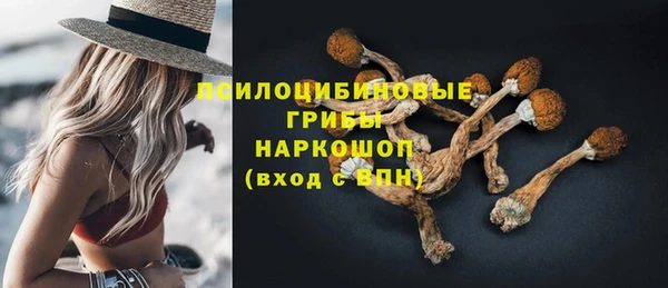 ECSTASY Карталы