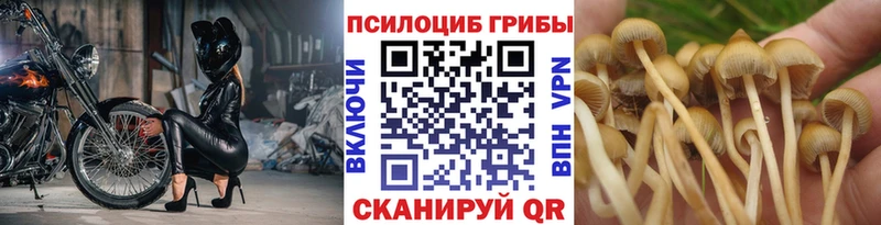 Галлюциногенные грибы MAGIC MUSHROOMS  Купить закладки  Оленегорск 